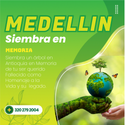 Siembra un Árbol en Medellin