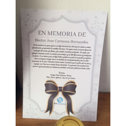 Guiá de Duelo + Bonsái 2 Años + Vela de Cristal y Mensaje