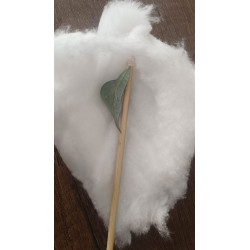 CRISALIDA DE MARIPOSA O PUPA DE MARIPOSA