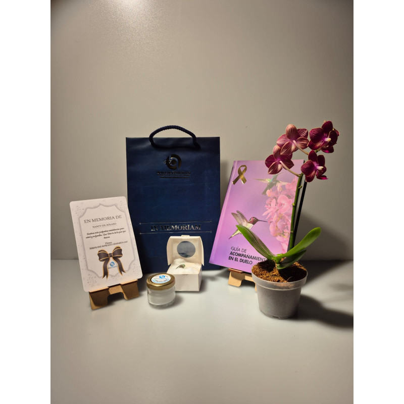 CRISALIDA DE MARIPOSA O PUPA DE MARIPOSA