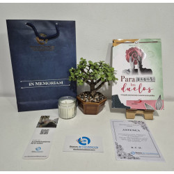 Libro de Ayuda en el Duelo, Bonsái Micro y Vela Aromatizada