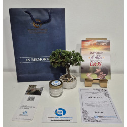 Bonsai Miniatura, Libro de...