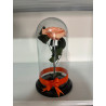 Rosa Preservada de Condolencia