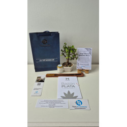 Bono Fundación Manuelita Bastón de Plata y Micro Bonsai