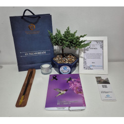 BONSAI DE CONDOLENCIA,...