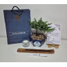 Bonsai de Condolencia Pino Azul