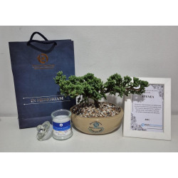 BONSAI DE CONDOLENCIAS CON PORTAMENSAJE DE LUJO