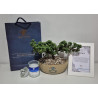 BONSAI DE CONDOLENCIAS CON PORTAMENSAJE DE LUJO