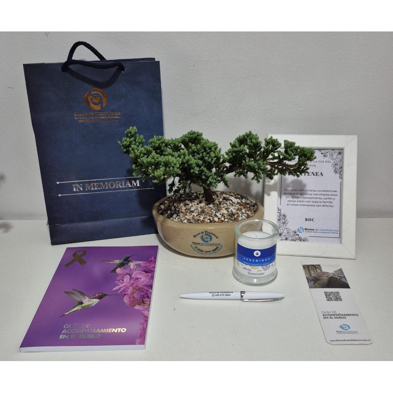 BONSAI MEDIANO, GUIA DE DUELO, PORTAMENSAJE Y VELA DE LUJO