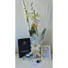 ORQUIDEA GRANDE PREMIUN DE 2 VARAS EN MATERA DE CULTIVO DECORADA
