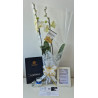 ORQUIDEA GRANDE PREMIUN DE 2 VARAS EN MATERA DE CULTIVO DECORADA