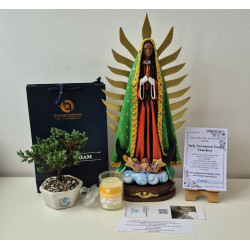 Virgen de Guadalupe Condolencias