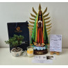 Virgen de Guadalupe Condolencias